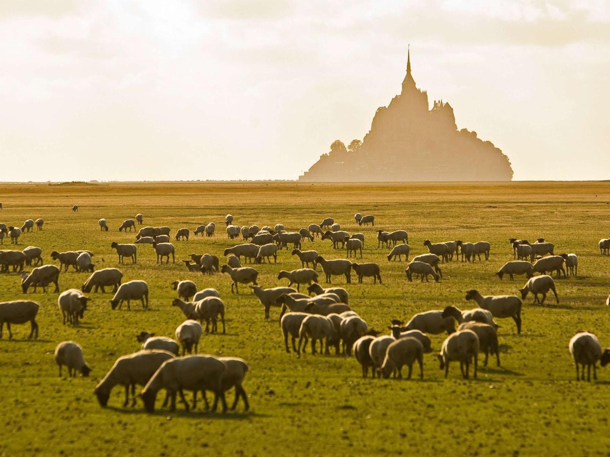 Hotelf1 Avranches Baie Du Mont Saint Michel Exteriör bild